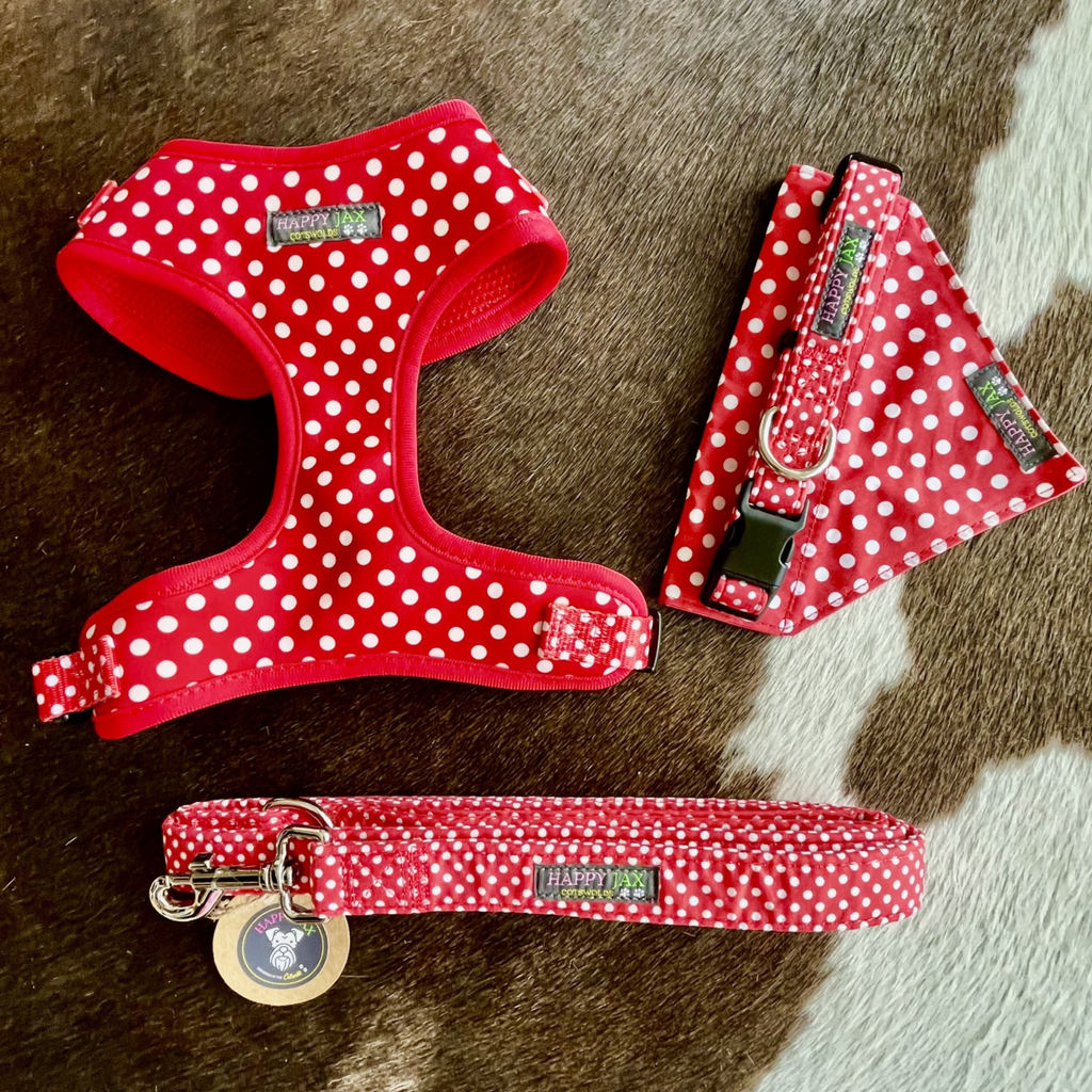 Polka-Dot Pattern Harness