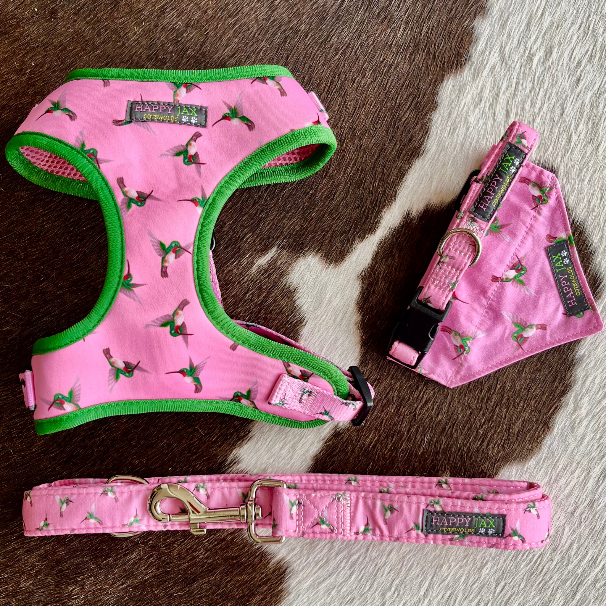 Kingfisher Pattern Harness