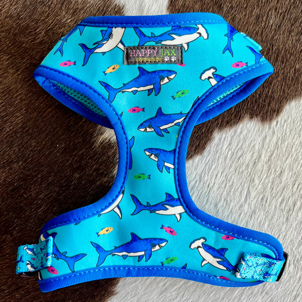 Shark Pattern Harness