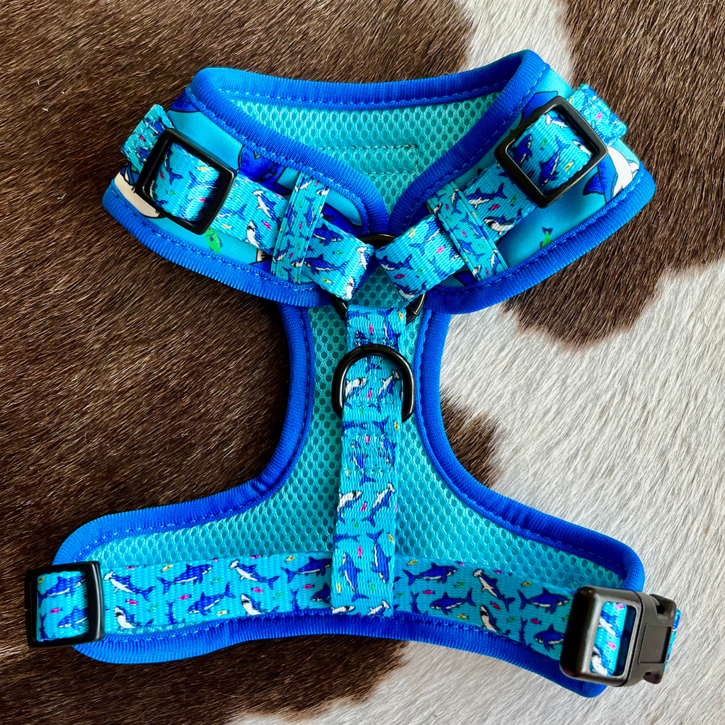 Shark Pattern Harness