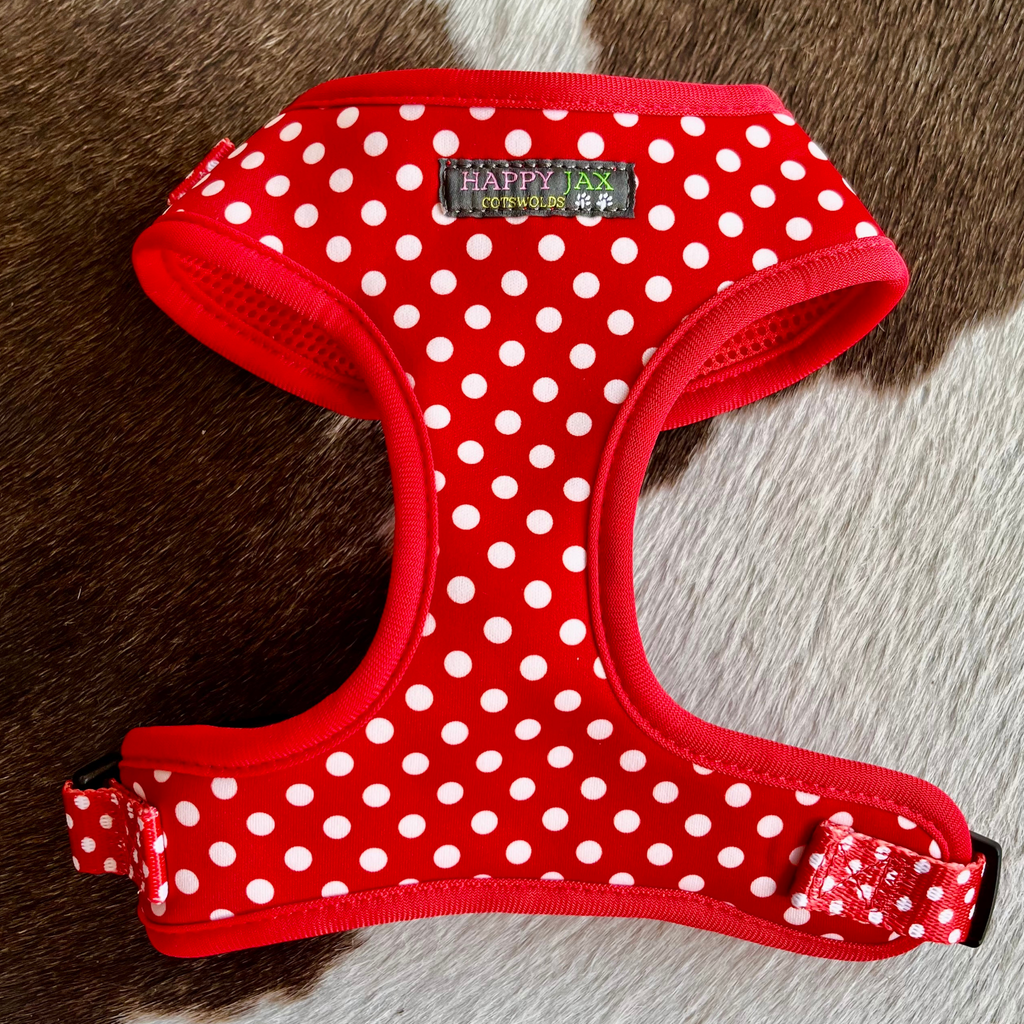 Polka-Dot Pattern Harness