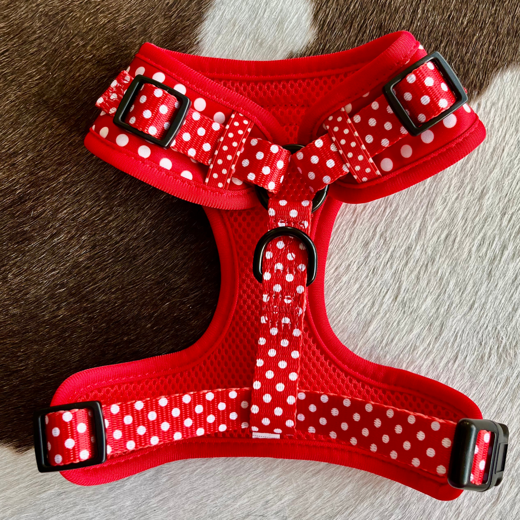 Polka-Dot Pattern Harness