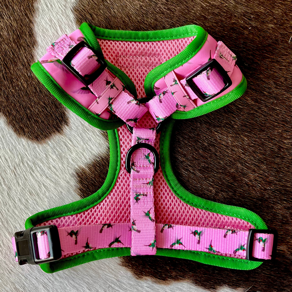 Kingfisher Pattern Harness