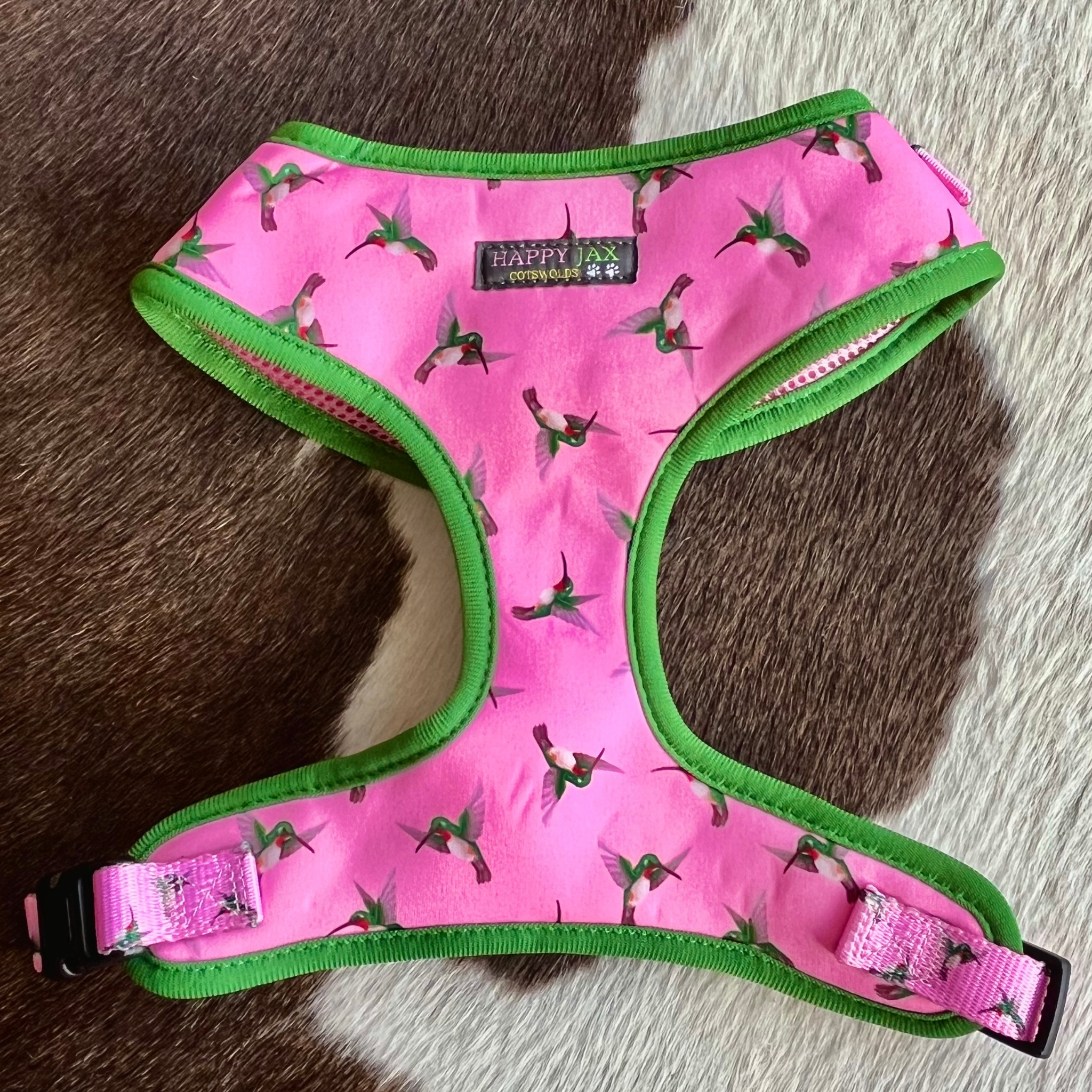 Kingfisher Pattern Harness