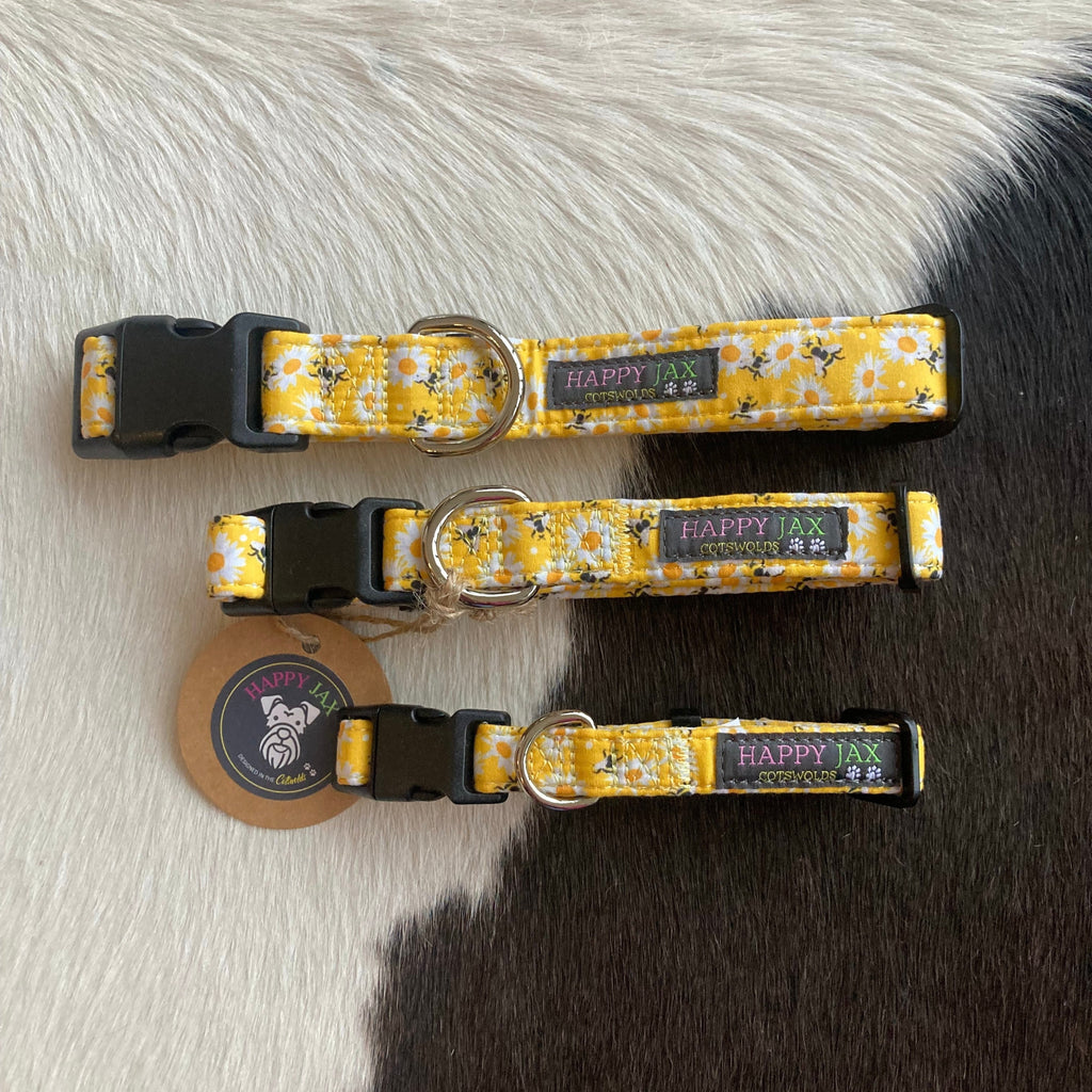 3 animal collars of differing sizes with a pattern of honey bees and daisies on a bright yellow background