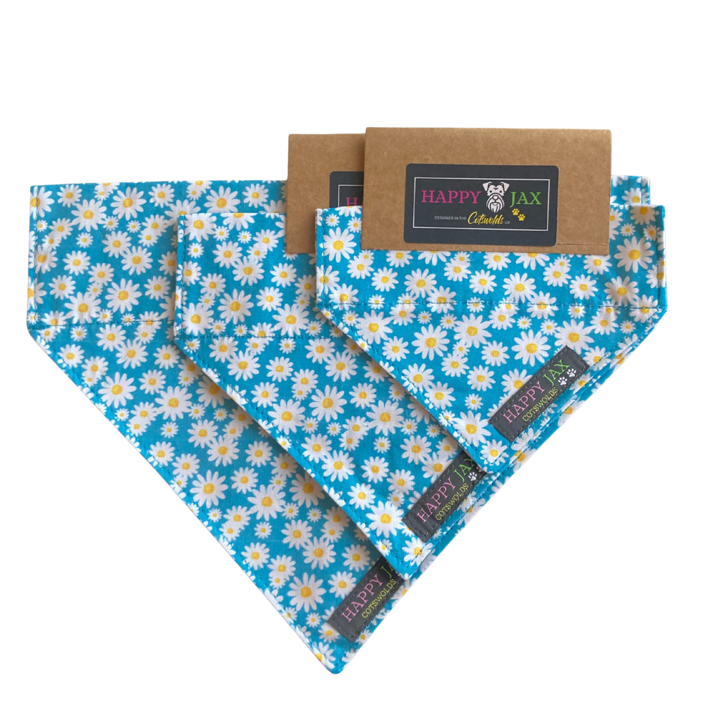 Daisy Pattern Bandana