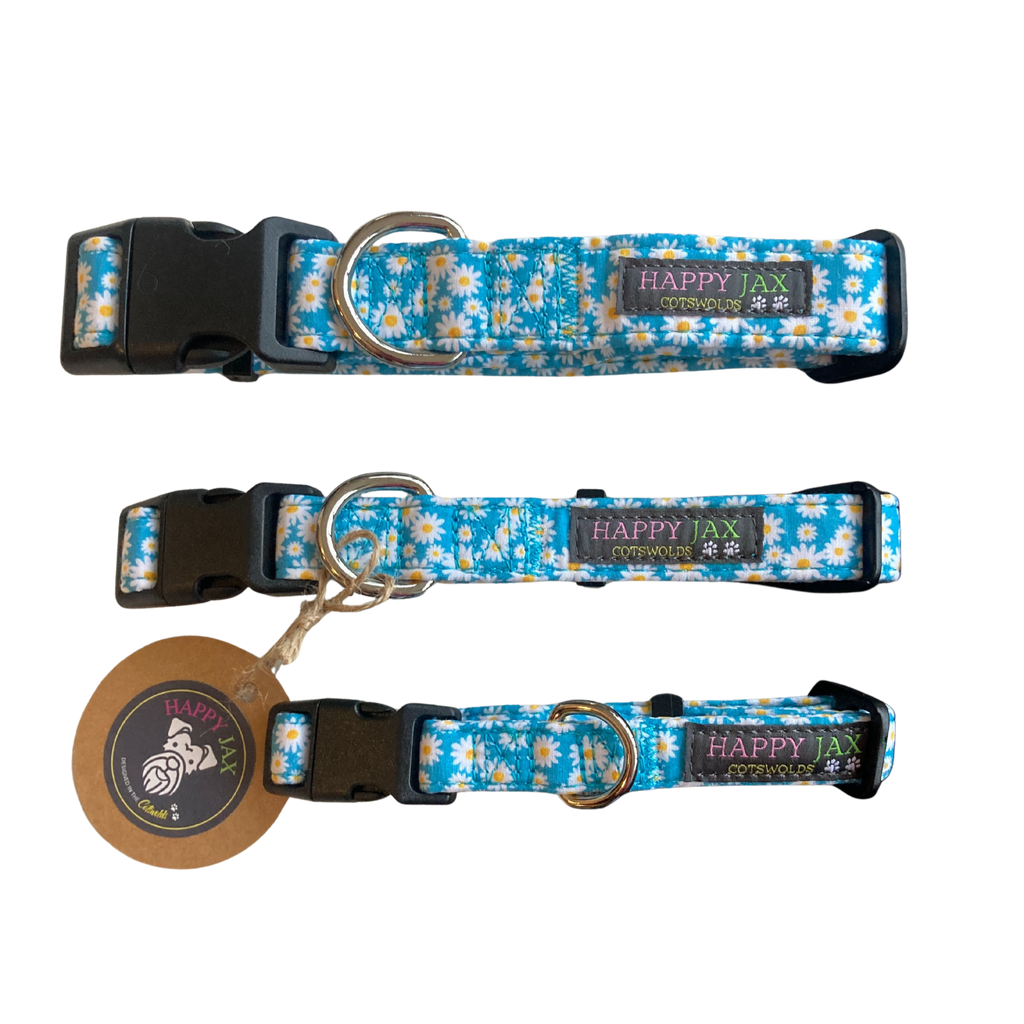Daisy Pattern Collars