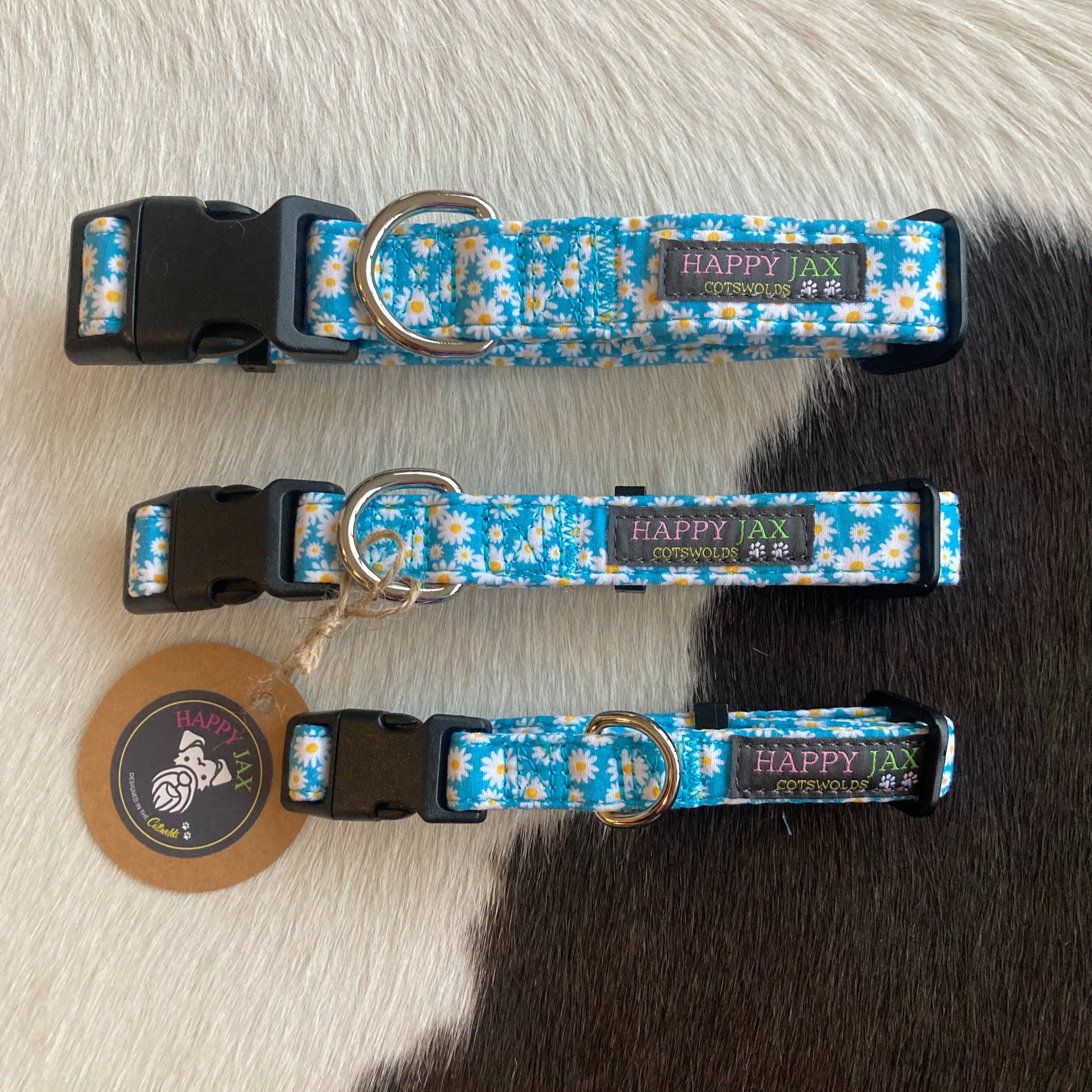 3 collars of differing sizes patterned with white daisies on a sky blue background, designed in the Cotswolds.