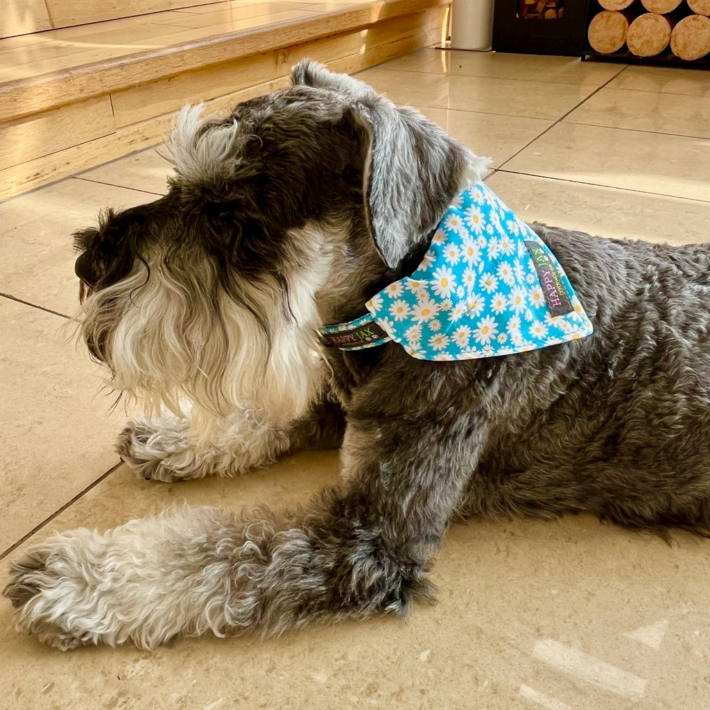 Daisy Pattern Bandana