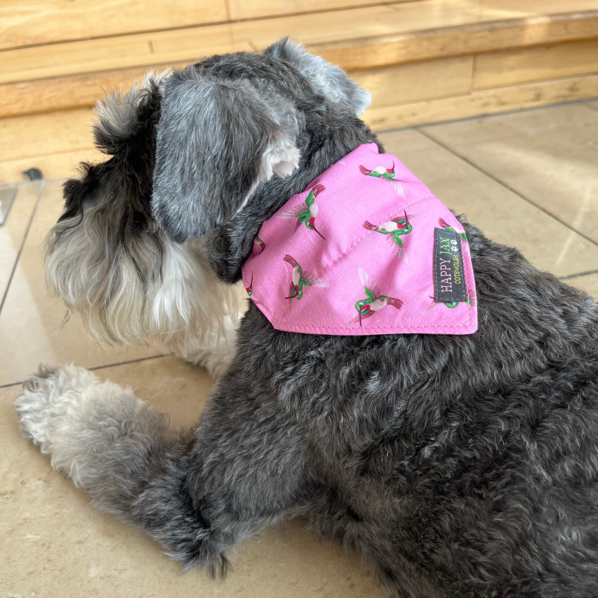 Kingfisher Pattern Bandana