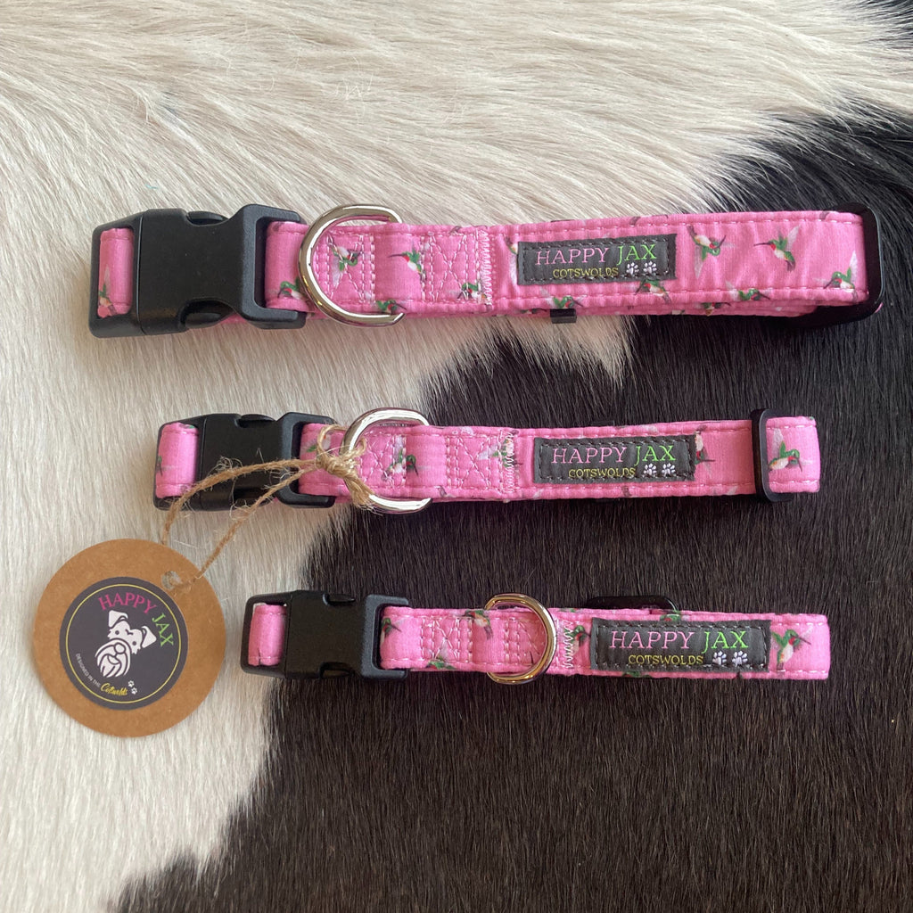 3 animal collars of differing sizes with a pattern of flying kingfishers on a bright Barbie pink background