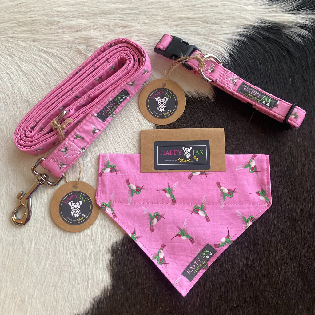 Bundle with an animal collar, bandana and lead in a bright and colourful design of flying kingfishers on a pink background. Products are suitable for both cats and dogs and available in a range of sizes, made with cotton and designed in the Cotswolds.