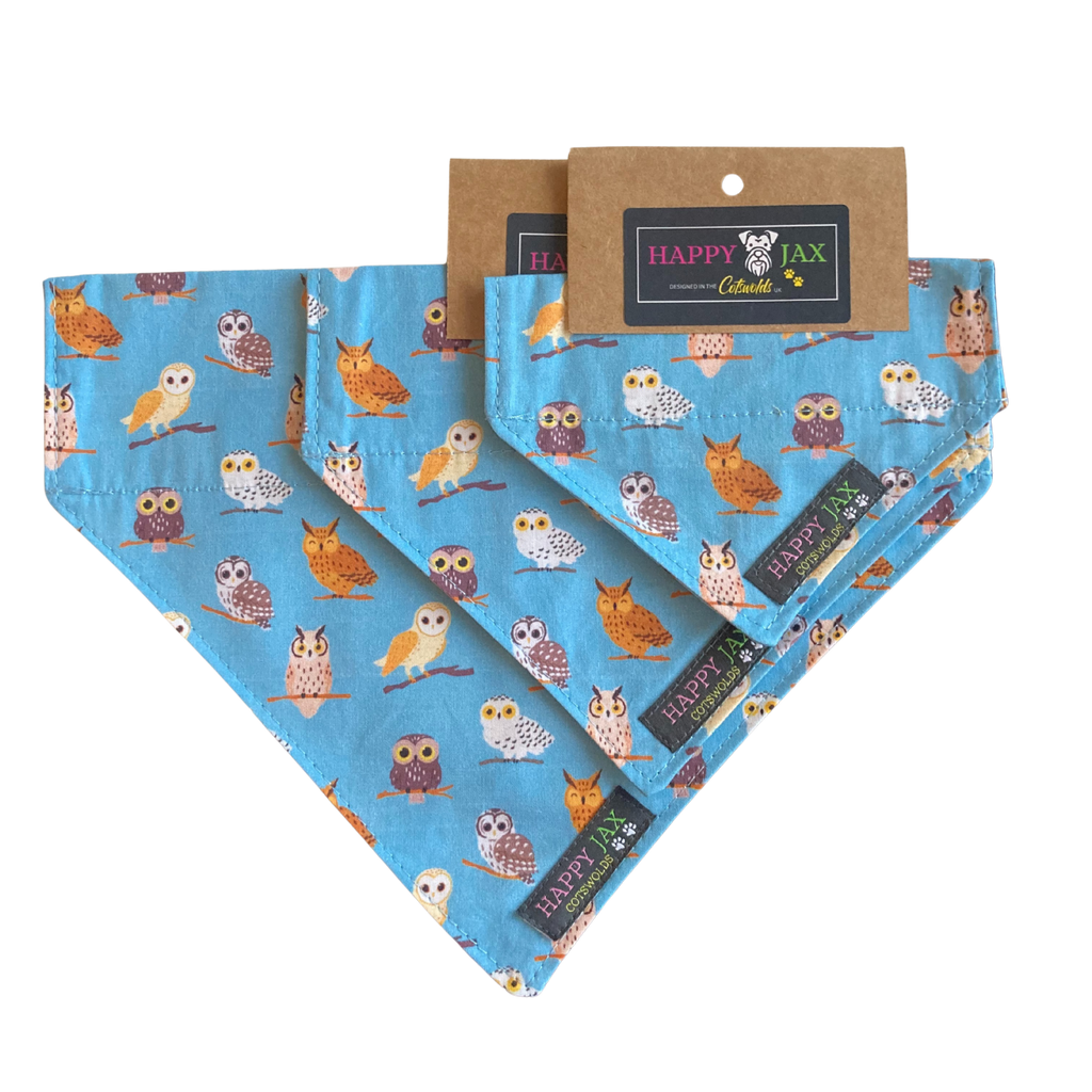 Owl Pattern Bandana