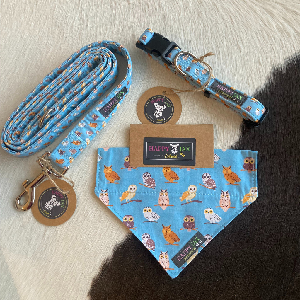 Bundle with an animal collar, bandana and lead in a bright and colourful design of multiple types owls looking outward on a light blue background. Products are suitable for both cats and dogs and available in a range of sizes, made with cotton and designed in the Cotswolds.