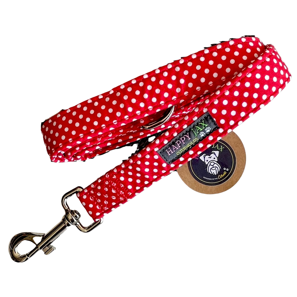 Red polka dot dog leash with a metal clip
