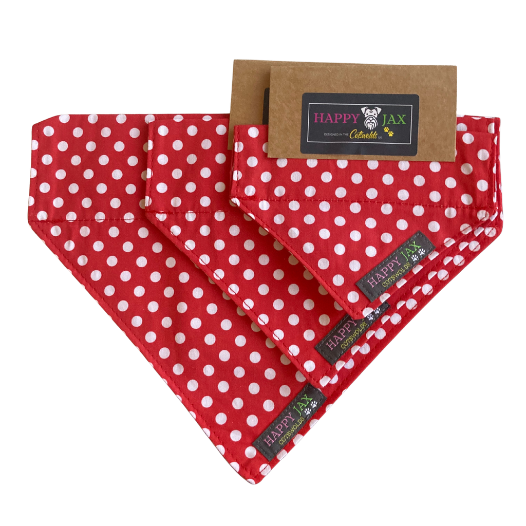 Polka Dot Bandana