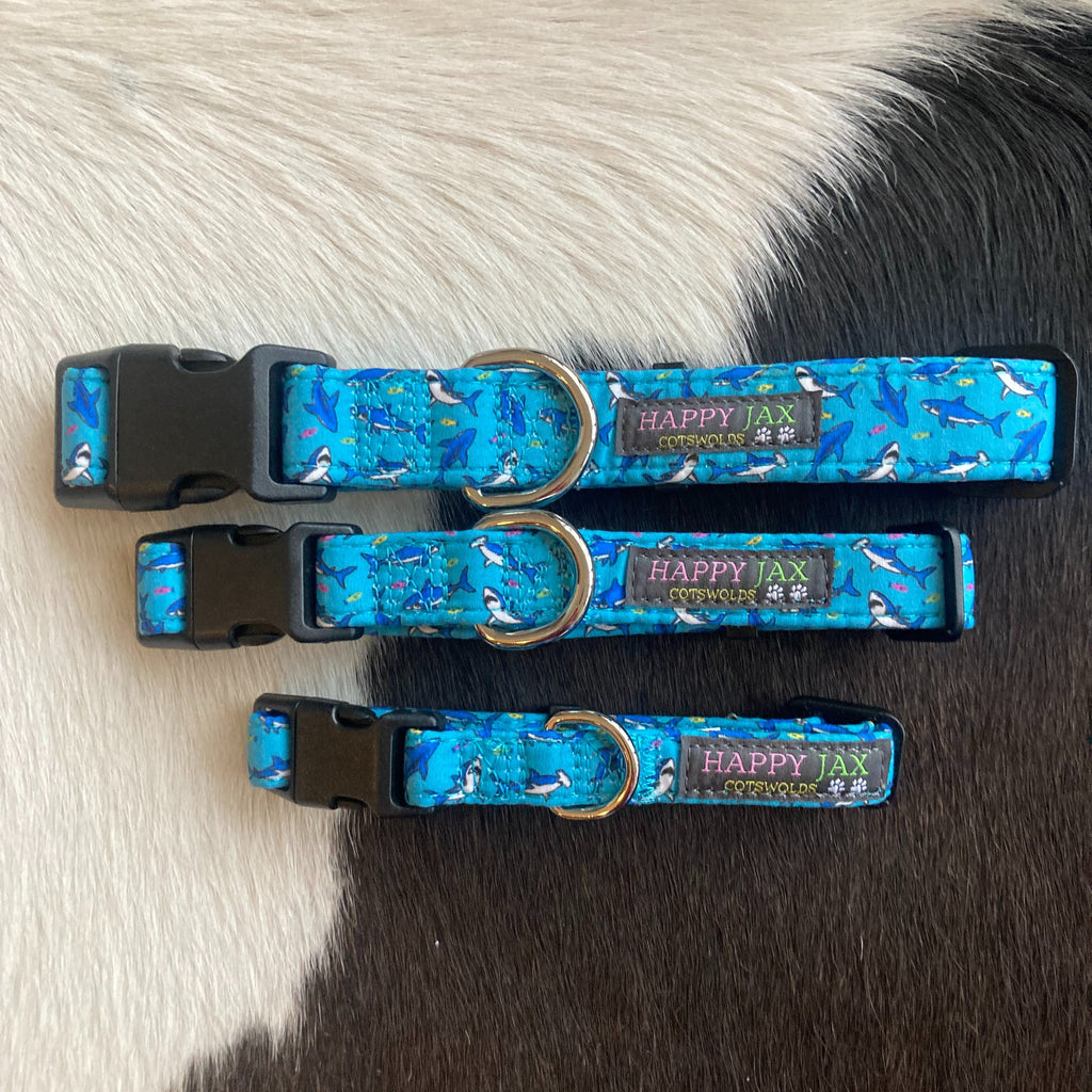 3 animal collars of differing sizes with a pattern of both normal and hammerhead sharks surrounded by multicoloured small fish on a sky blue background