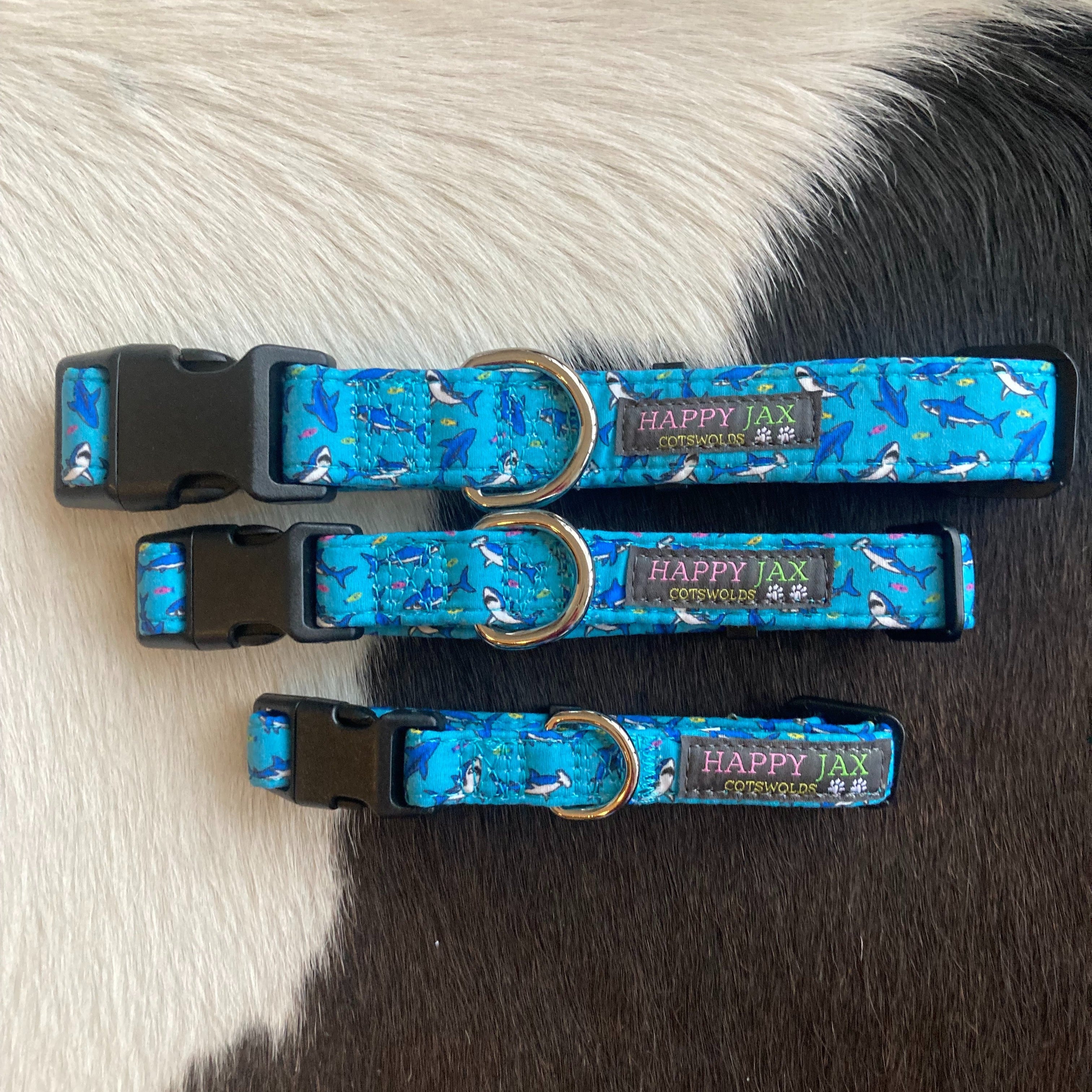 3 animal collars of differing sizes with a pattern of both normal and hammerhead sharks surrounded by multicoloured small fish on a sky blue background