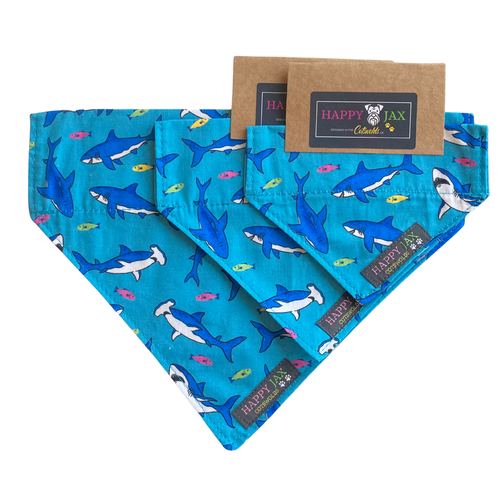 Shark Pattern Bandana