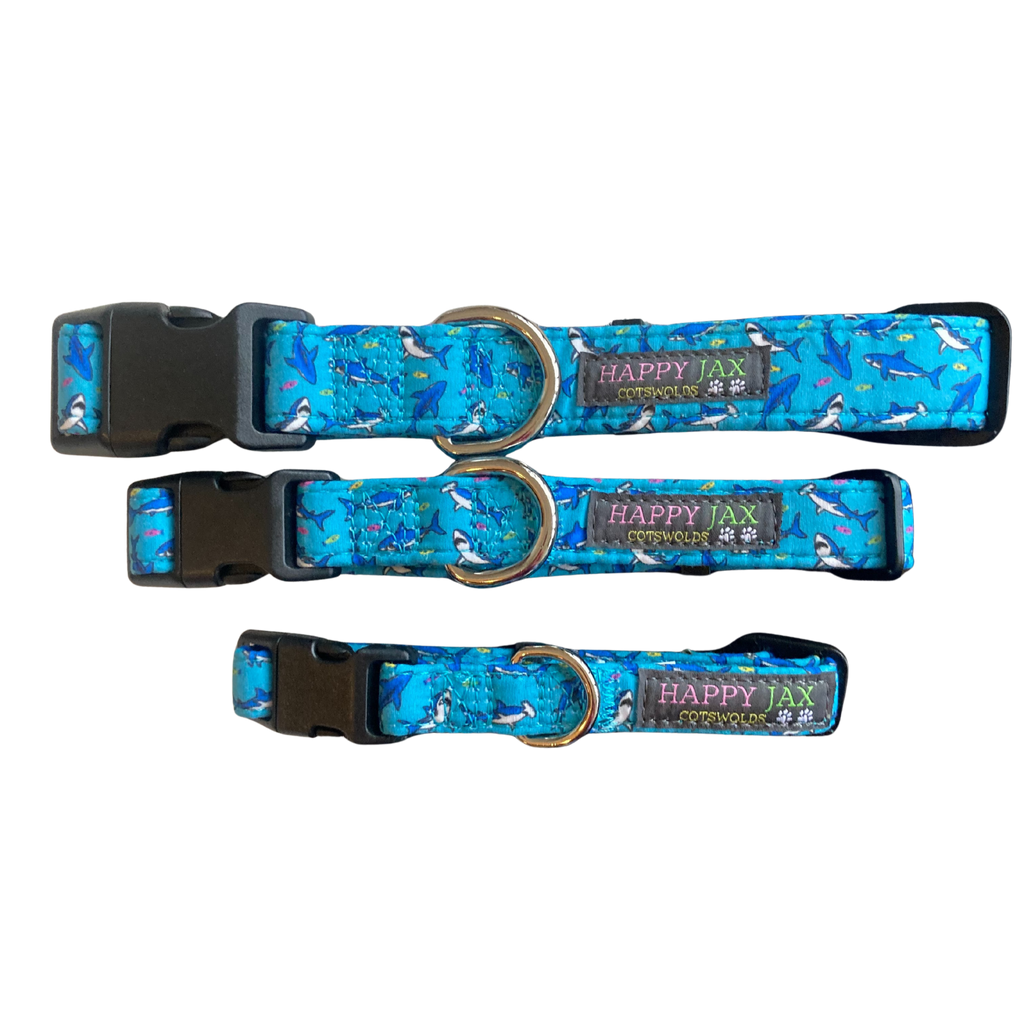 Shark Pattern Collars