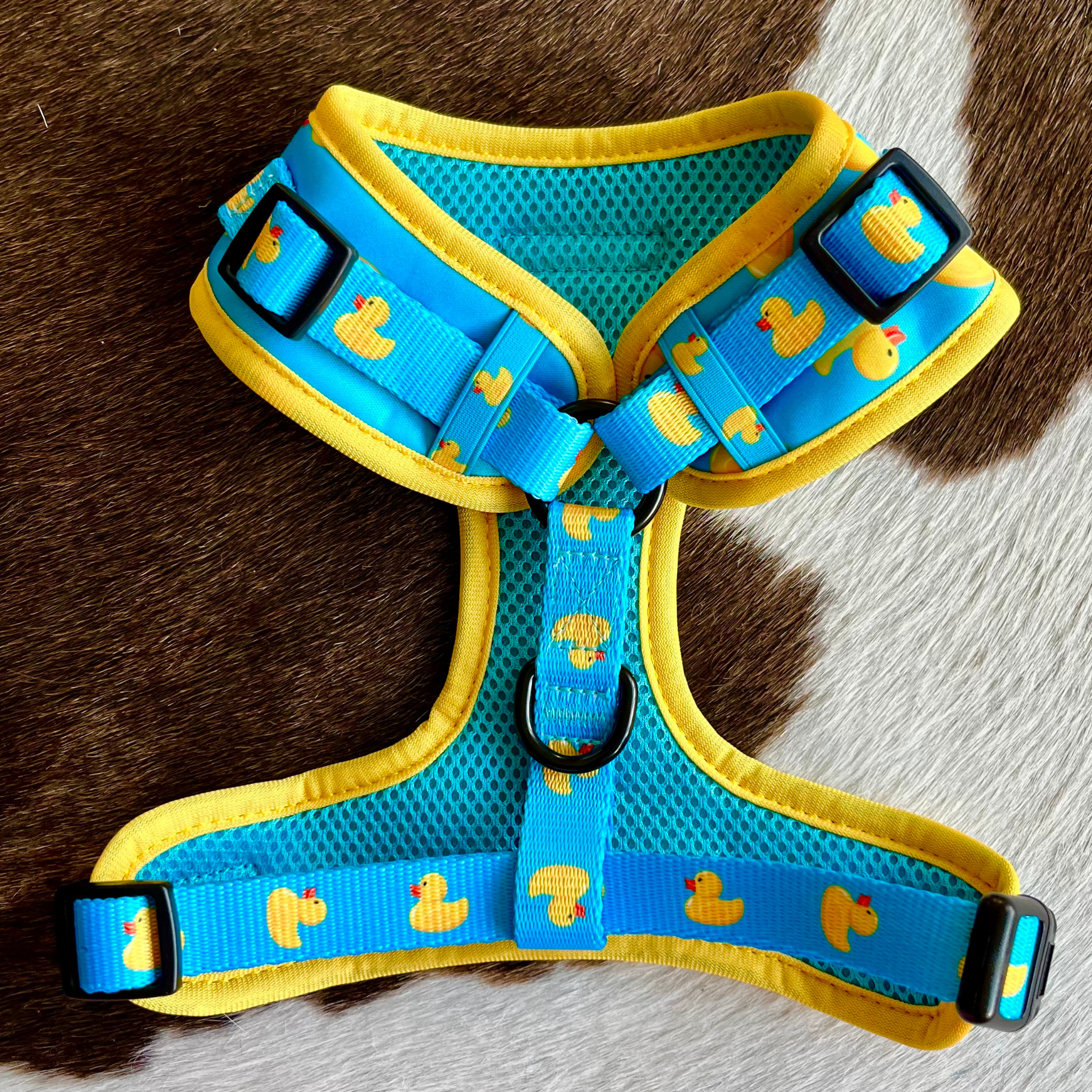 Blue dog harness with yellow duck patterns