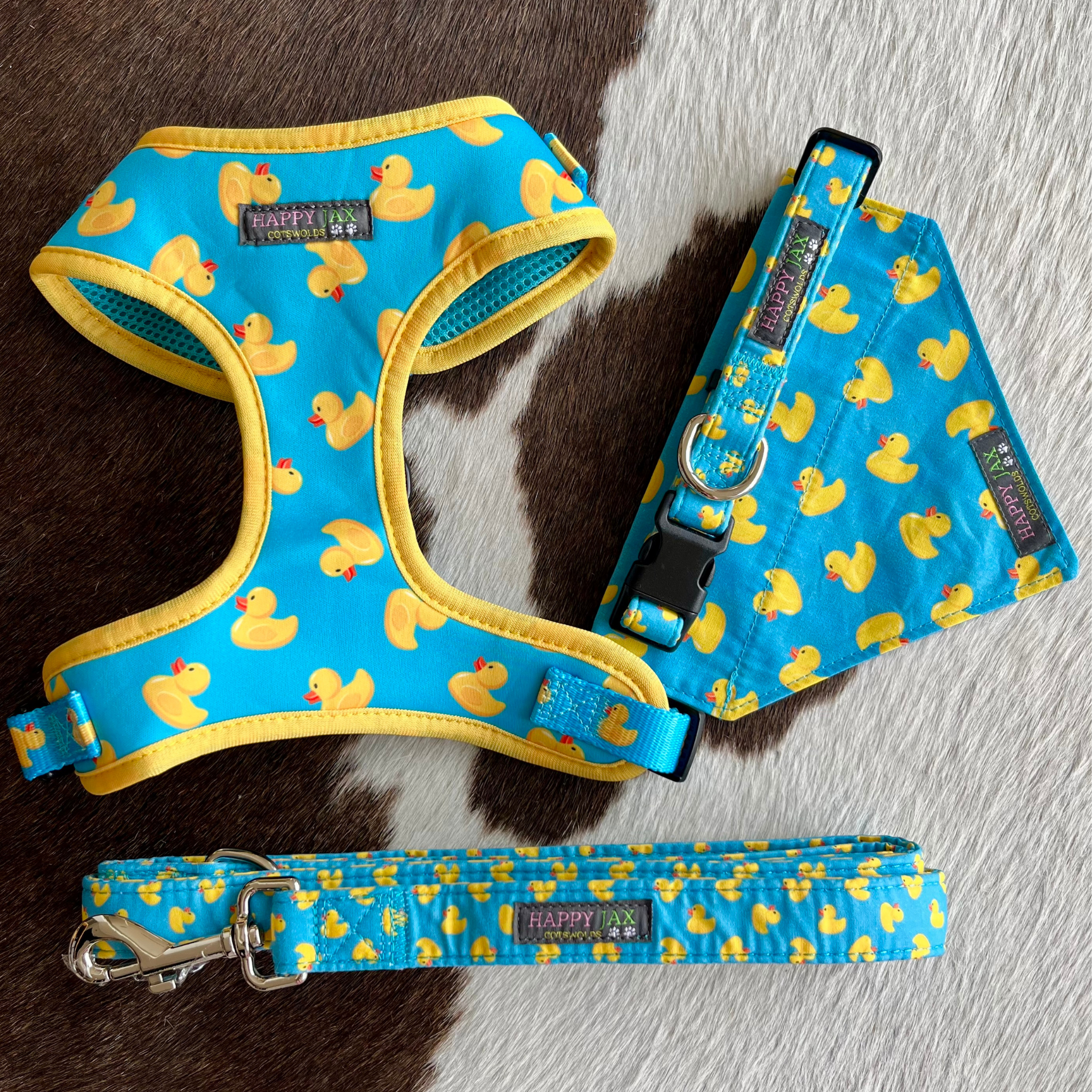 Blue dog harness, bandanna, collar and leash with yellow duck pattern
