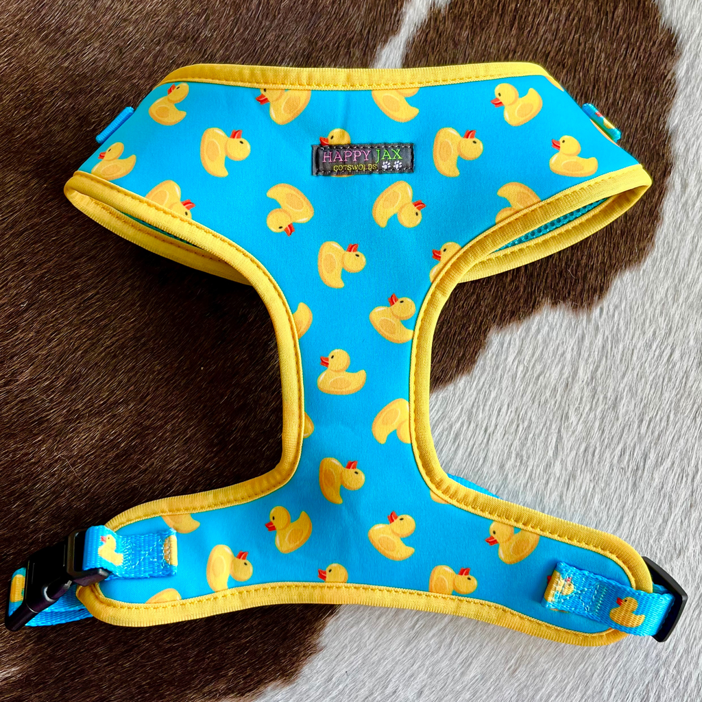 Dog harness with rubber duck pattern